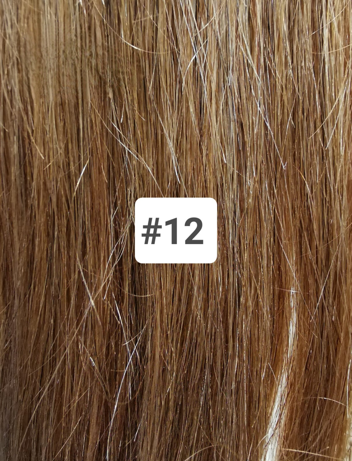 Affordable Clip in Extension Italian Human Hair Clips On Extensions