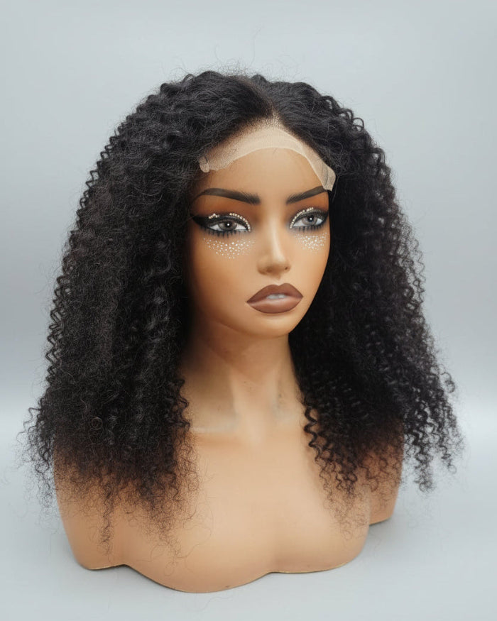HD lace front kinky curly human hair wig full front view displaying pre-plucked hairline