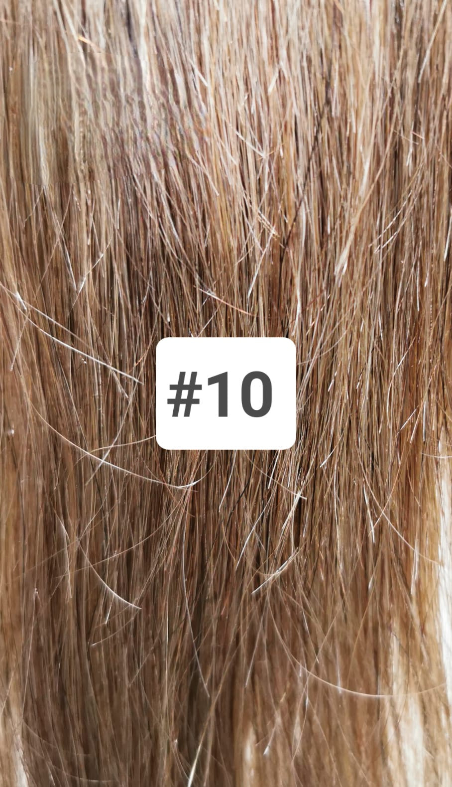 Colour 10 Claw Clip Ponytail Extensions