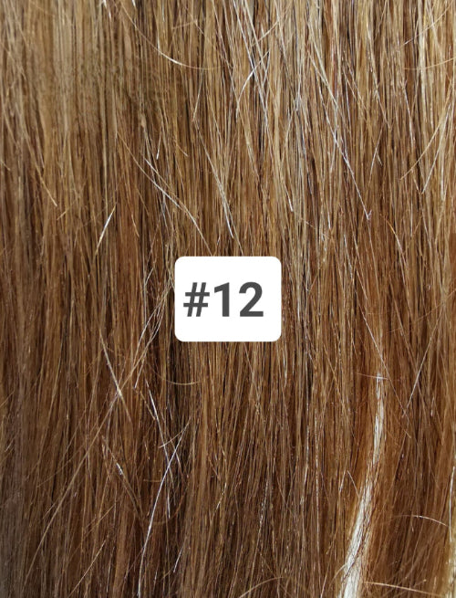 Colour 12 Claw Clip Ponytail Extensions