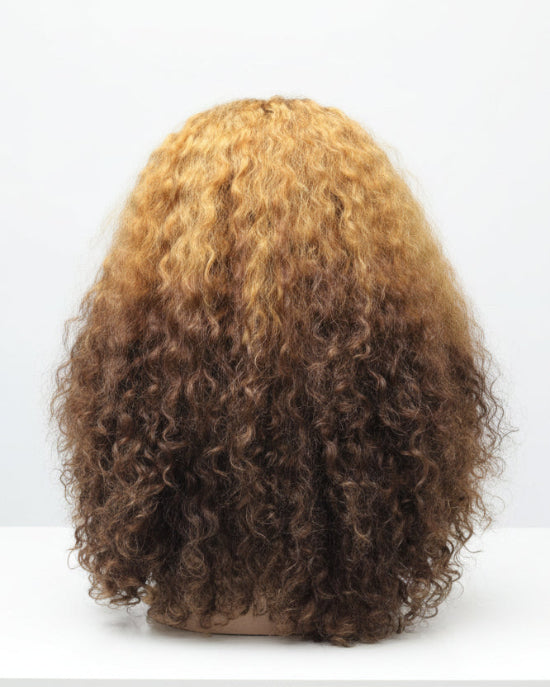 P4/27 Curly Lace Front Wig with Blonde Highlights